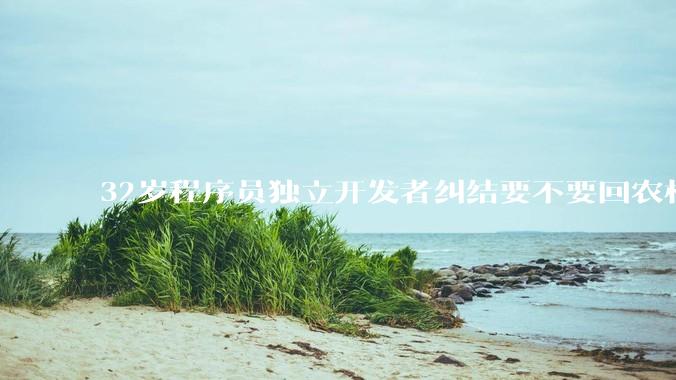 32岁程序员独立开发者纠结要不要回农村生活?